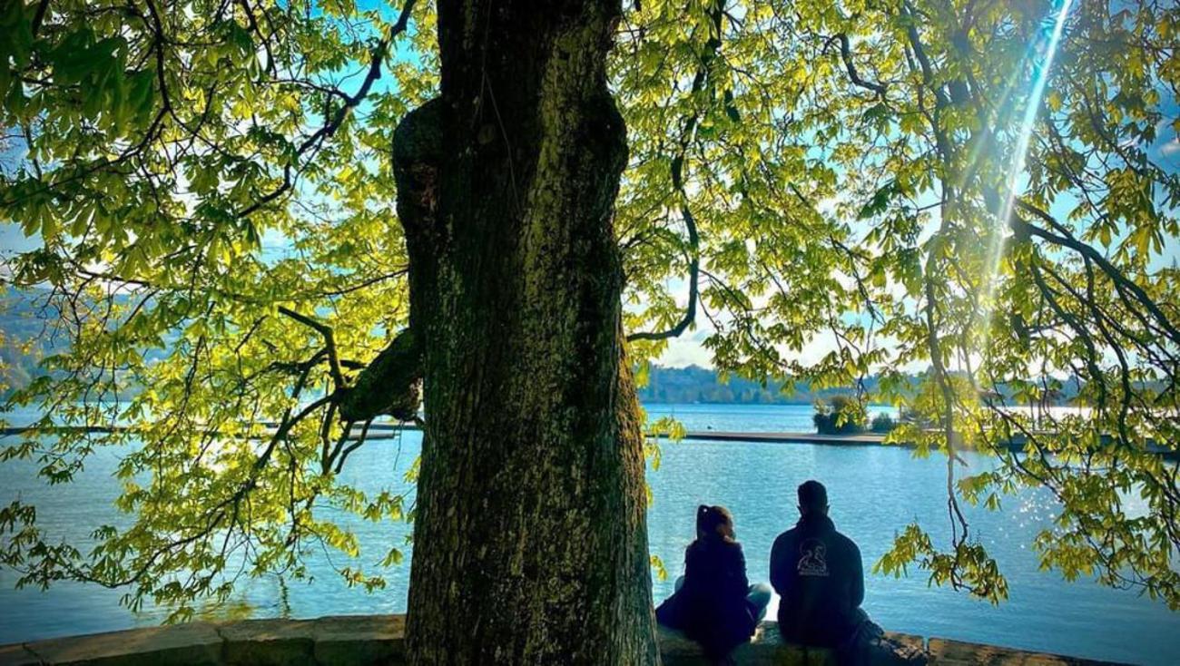 L'Echappee Du 36 - 4 Chambres Dans Le Triangle D'Or A 100M Du Lac, Parking Gratuit Annecy Zewnętrze zdjęcie